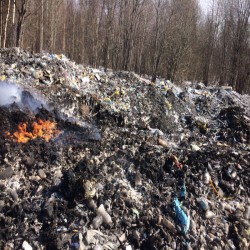На свалке Перми найдено 50 тонн опасных отходов